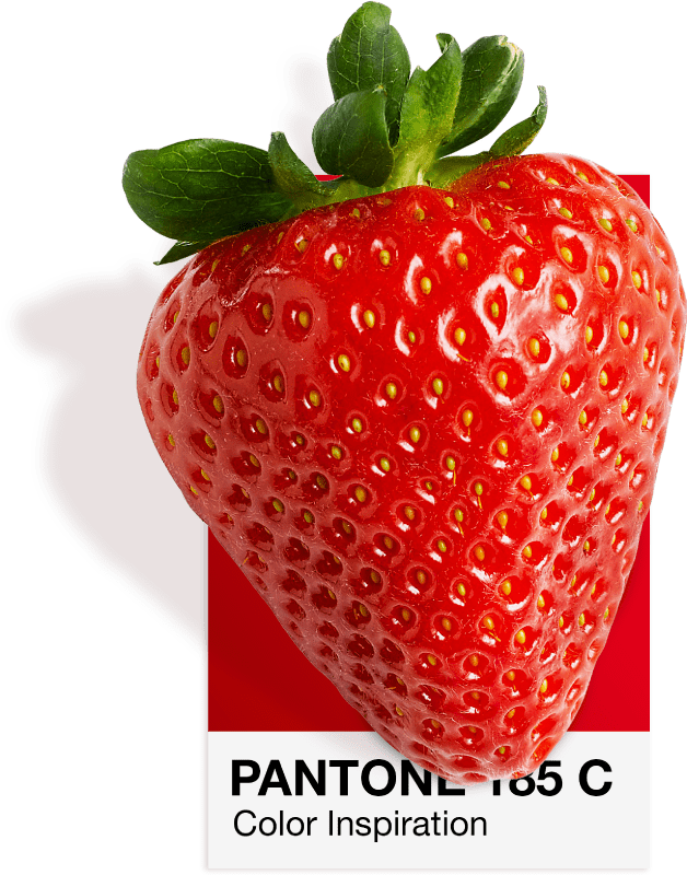 Jagoda na Pantone 185 C kartici boje, crvena boja Vatre